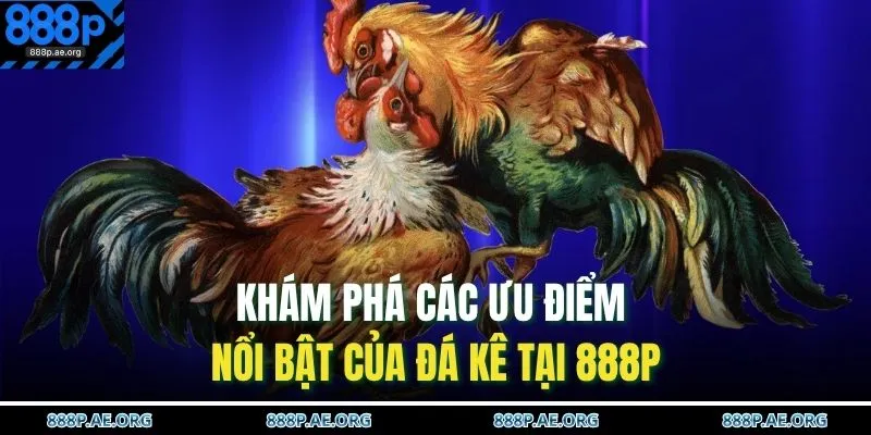 Đá Gà 888P 2 Khám phá các ưu điểm nổi bật của đá kê tại 888P