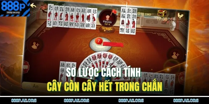 Cách Tính Cây Còn Cây Hết Trong Chắn Cập Nhật 2025 2 Sơ lược cách tính cây còn cây hết trong chắn