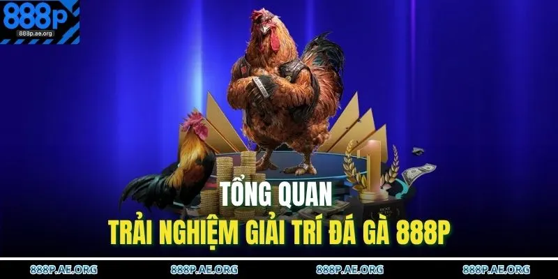 Đá Gà 888P 1 Tổng quan trải nghiệm giải trí đá gà 888P
